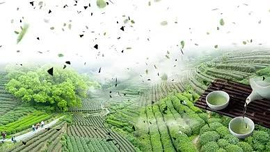 茶文化田园风格小清新唯美茶系列绿色系片头视频的预览图